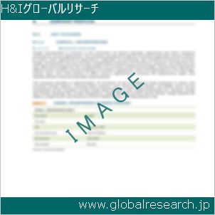 グローバルリサーチ調査レポートのイメージ